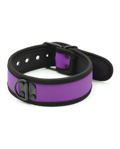 Plesur Plesur Neoprene Puppy Collar - Purple - Image 2