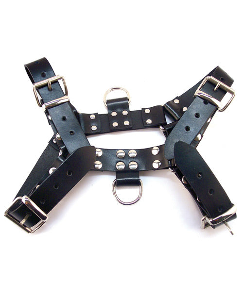 Rouge Rouge Over the Head XLarge Harness - Black - Image 2