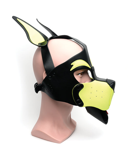 665 665 Playful Pup Hood - O/S Black/Yellow - Image 2