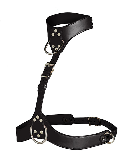 Master Series Vixen Female Chest Harness - Black - Image 2