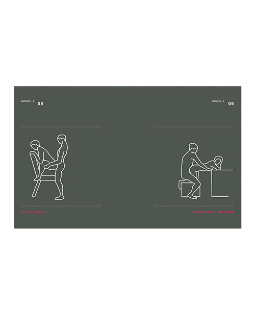 Hachette Book Group Position of the Day Sex Every Day in Every Way Book Revised and Updated - Image 2