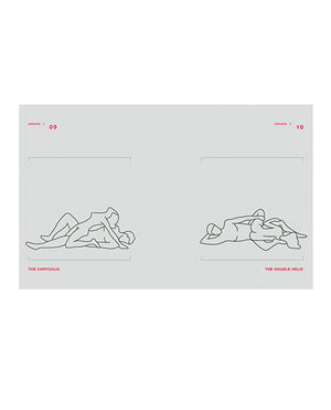 Hachette Book Group Position of the Day Sex Every Day in Every Way Book Revised and Updated - Image 3