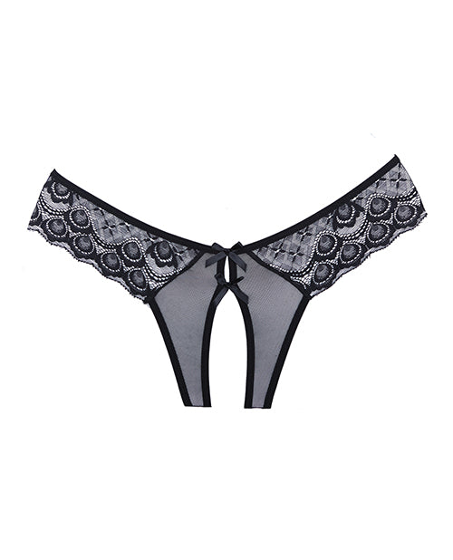 Adore Adore Foreplay Lace &amp; Mesh Front Open Panty Black O/S