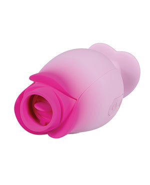 Blush Aria - Tulip Trance - Pink - Image 3
