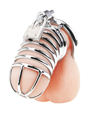 Blue Line Blue Line Deluxe Chastity Cage - Silver
