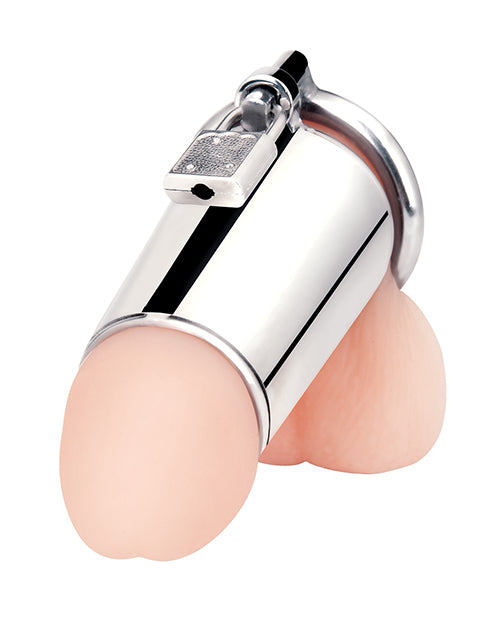 Blue Line Blue Line Ultimate Cock Tease Cage - Silver - Image 2