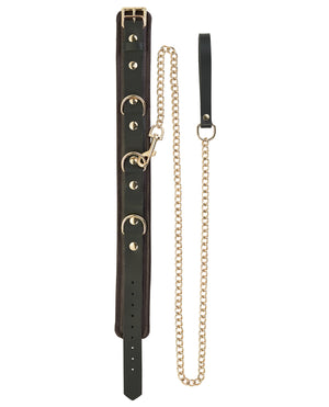 Spartacus Spartacus Collar &amp; Leash - Brown Leather w/Gold Accent Hardware - Image 2