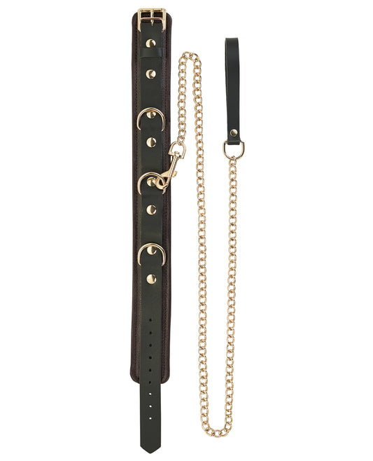 Spartacus Spartacus Collar &amp; Leash - Brown Leather w/Gold Accent Hardware - Image 2