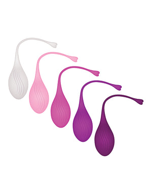 Evolved Evolved Tight &amp; Delight 5 pc Weighted Kegel Ball Set - Assorted Colors - Image 4
