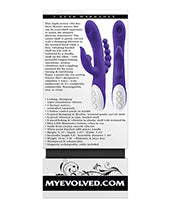 Evolved Lick Me Triple Stim Vibe - Purple (2)