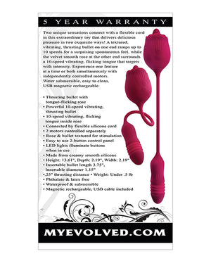 Evolved Evolved Wild Rose - Red - Image 2