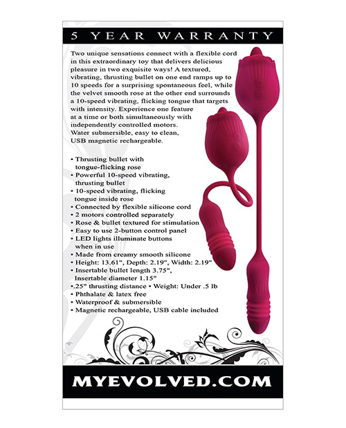 Evolved Evolved Wild Rose - Red - Image 2