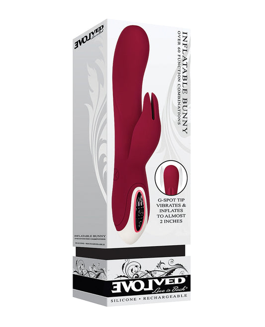 Evolved Evolved Inflatable Bunny Dual Stim Rechargeable - Burgundy - Image 2