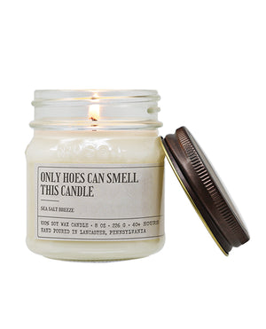 Only Hoes Can Smell This Candle - Funny Candle 8 oz Soy Wax - Image 3