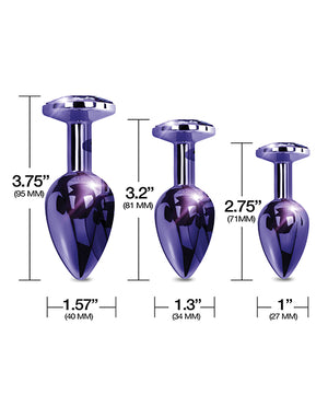 Nixie Nixie Metal Butt Plug Trainer Set w/Inlaid Jewel - Purple Metallic - Image 4