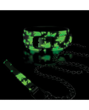 Stoner Vibes Stoner Vibes Glow in the Dark Collar &amp; Leash - Image 3
