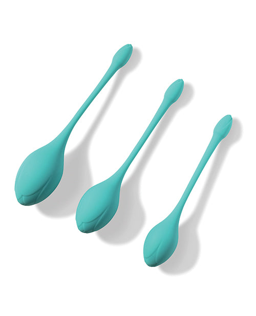 Honey Play Box Bluebell Floral 3 Size &amp; Weight Kegel Ball Exercise Set - Blue - Image 2