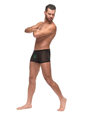 Male Power Private Screening Micro Mesh &amp; Modal Pot Leaf Black XL - Image 2