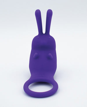 Like A Kitten Natalie's Toy Box The Cock Hopper Cock Ring &amp; Bullet Vibrator - Purple - Image 2