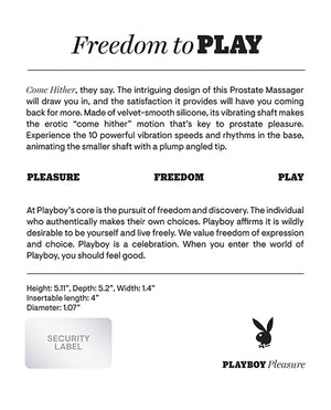Playboy Playboy Pleasure Come Hither Prostate Massager - 2 AM - Image 2