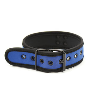 Plesur Plesur Neoprene Puppy Collar - Blue - Image 2