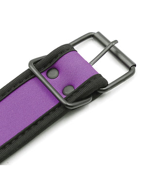 Plesur Plesur Neoprene Puppy Collar - Purple - Image 5