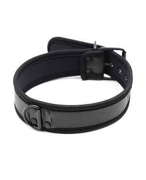 Plesur Plesur Neoprene Puppy Collar - Black - Image 2