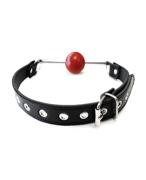Rouge Rouge Leather Ball Gag with Stainless Steel Rod and Removable Ball - Black with Red - Image 2
