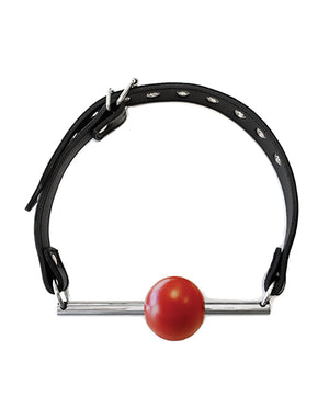 Rouge Rouge Leather Ball Gag with Stainless Steel Rod and Removable Ball - Black with Red - Image 3