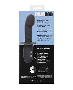 Ramrod Ramrod Gyrating - Image 5