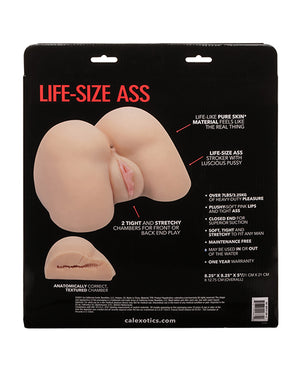 Stroke It Stroke It Life Size Ass - Ivory - Image 4
