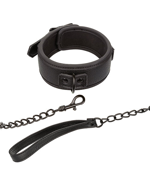 Nocturnal Nocturnal Collection Detachable Collar &amp; Leash - Black - Image 2