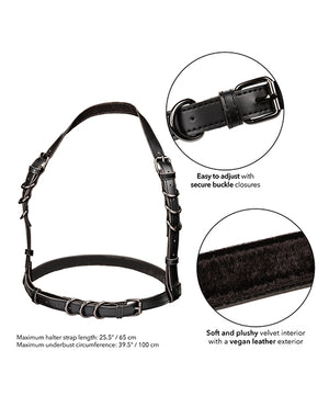 Euphoria Euphoria Collection Plus Size Halter Buckle Harness - Image 3