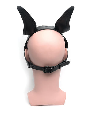 665 665 Playful Pup Hood - O/S Black - Image 3
