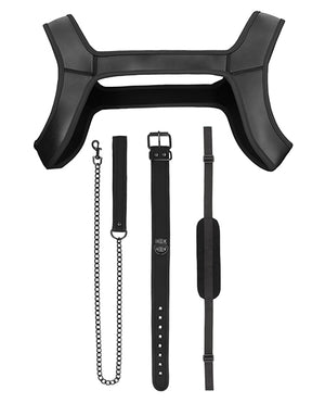 Ouch Shots Ouch Puppy Play Complete Kit - LXL Black - Image 4
