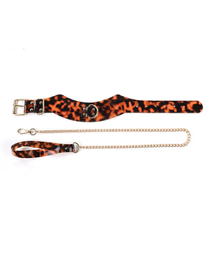 Sincerely Amber Sincerely Amber Collar &amp; Leash - Image 4